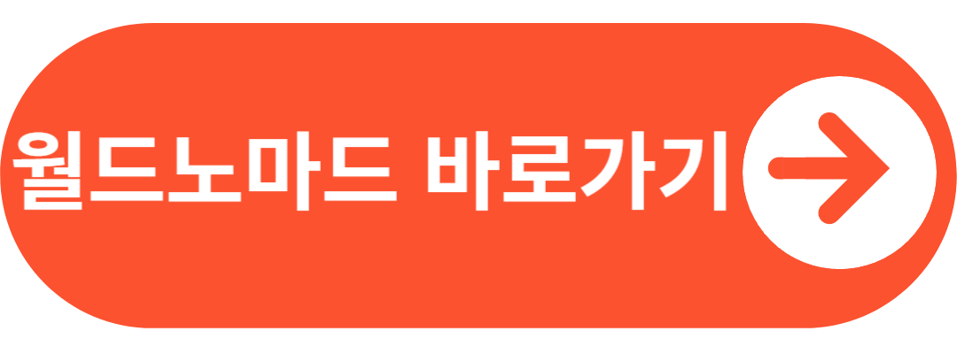 월드노마드 해외여행자 보험