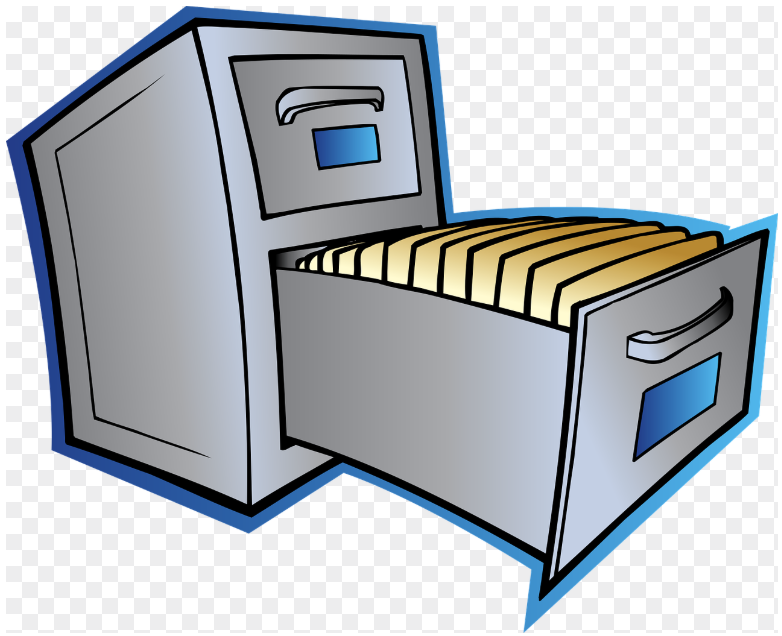 정보가 너무 많을 때 뇌는 어떻게 반응하는가? : 디지털 과부하의 진실