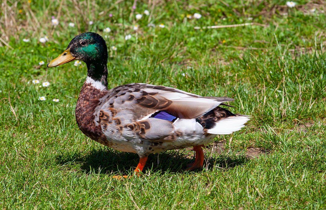 2025 실수령액 계산기