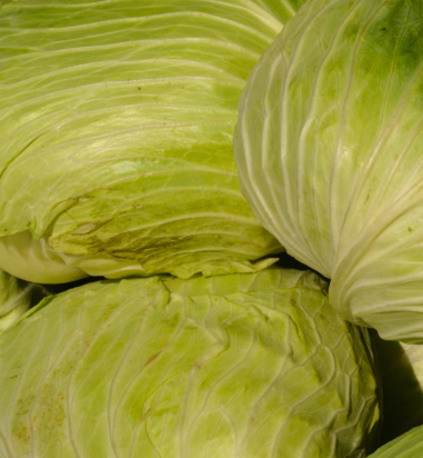 양배추 효능과 부작용 칼로리