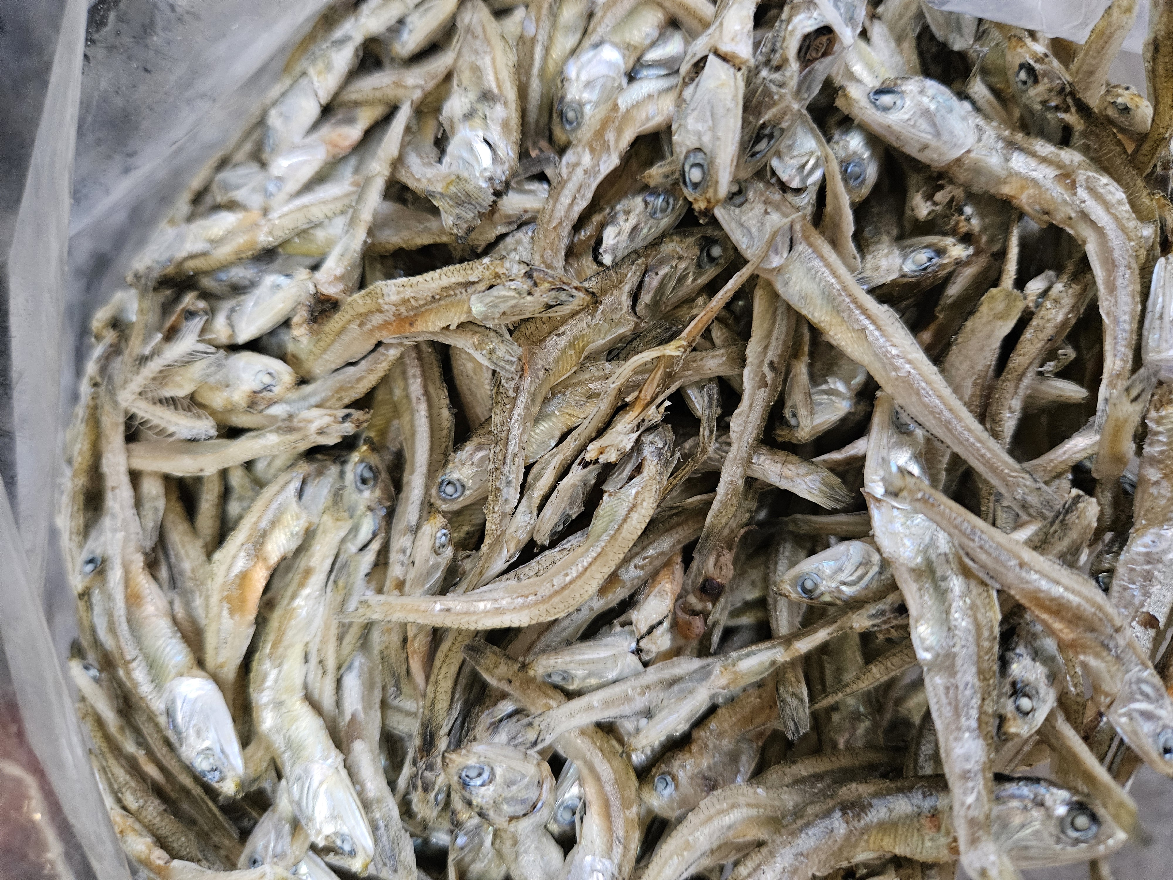 멸치
마른멸치