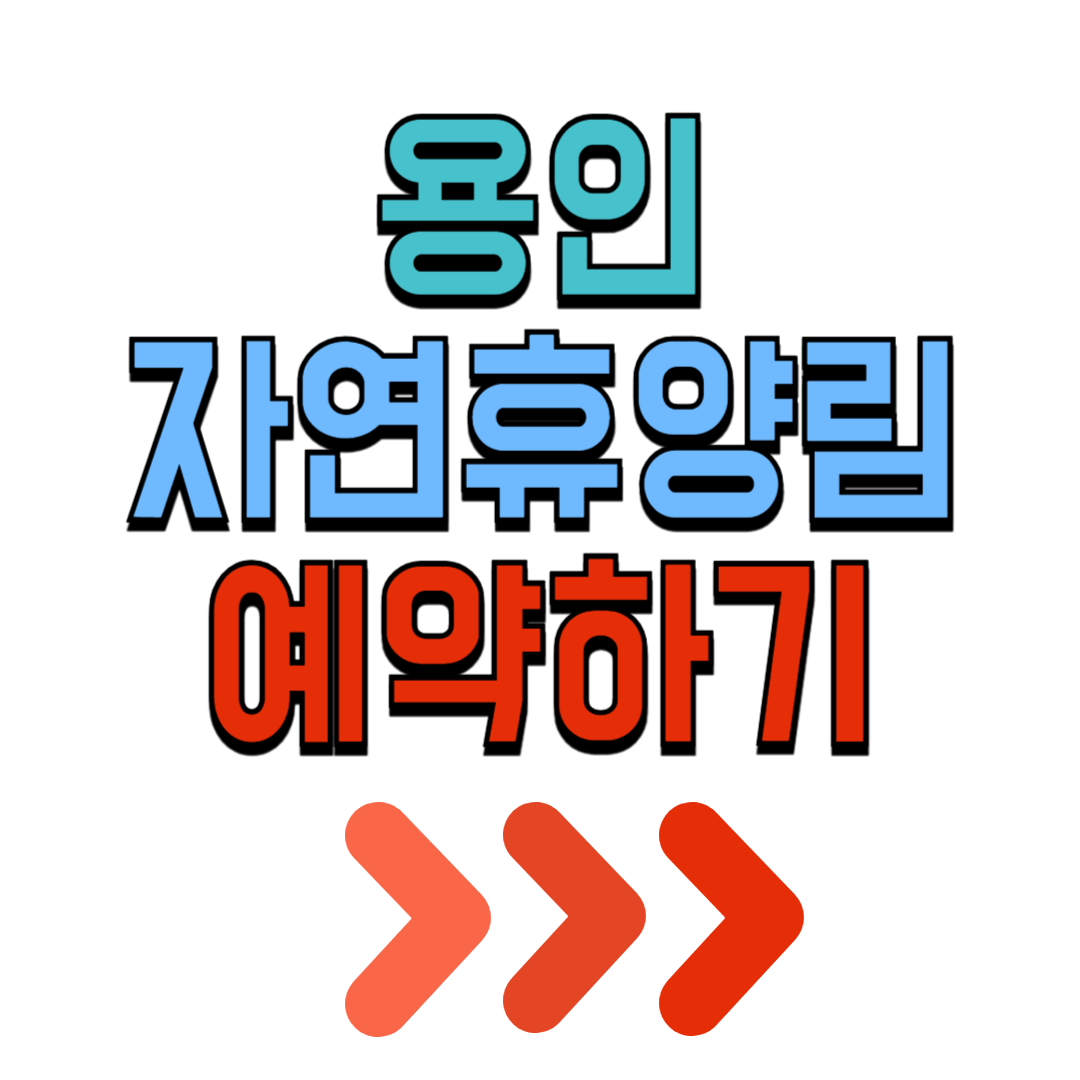 용인 자연휴양림 예약 캠핑장 카라반 계곡 짚라인 야영데크 몽골 핀란드