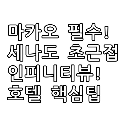 세나도 광장 초근접부터 뷰 맛집 인피..