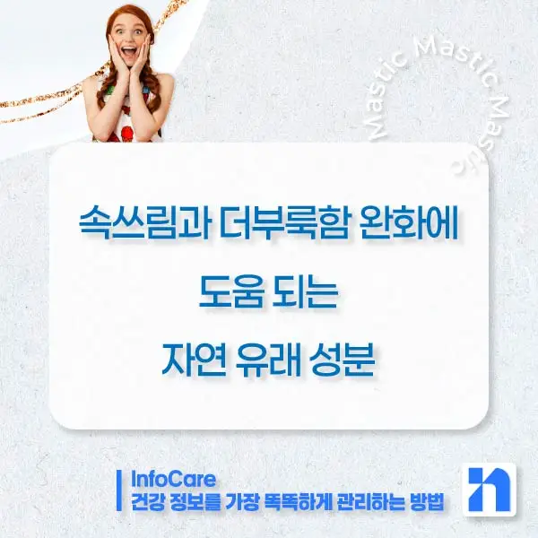 매스틱 매스틱검 효능 효과