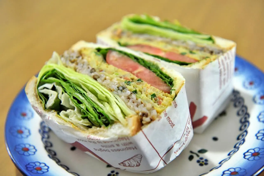 가을 상추 심는 시기와 방법 파종&amp;#44; 재배&amp;#44; 수확까지 한 번에 정리!