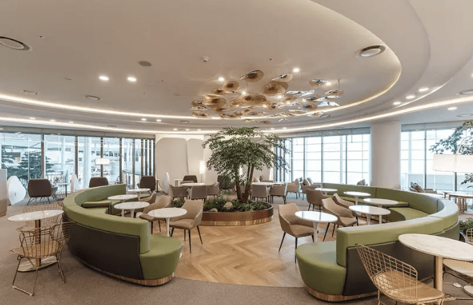 더라운지 앱 무료입장