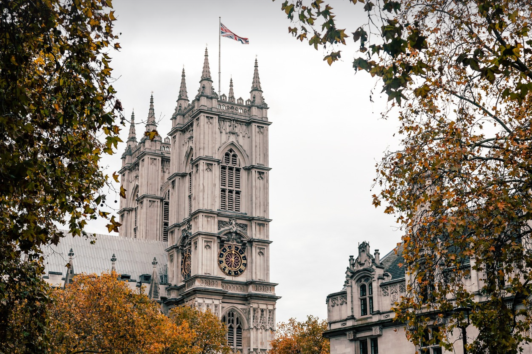 2025년 영국 국제학교 순위 비교