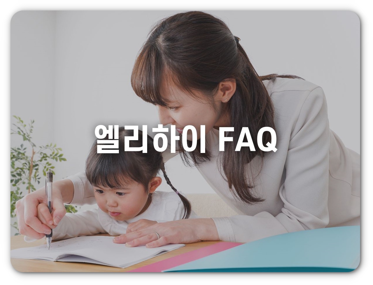 엘리하이 FAQ