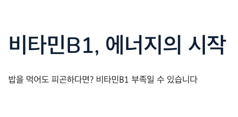 비타민B1 에너지의 시작