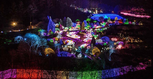 아침고요수목원 오색별빛정원전