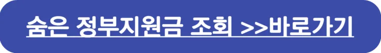 숨은 정부지원금 조회 확인 바로가기