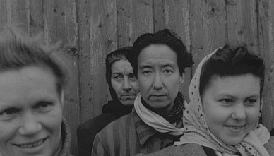 설날 TV 특선영화 편성표 (2025) 알아보기