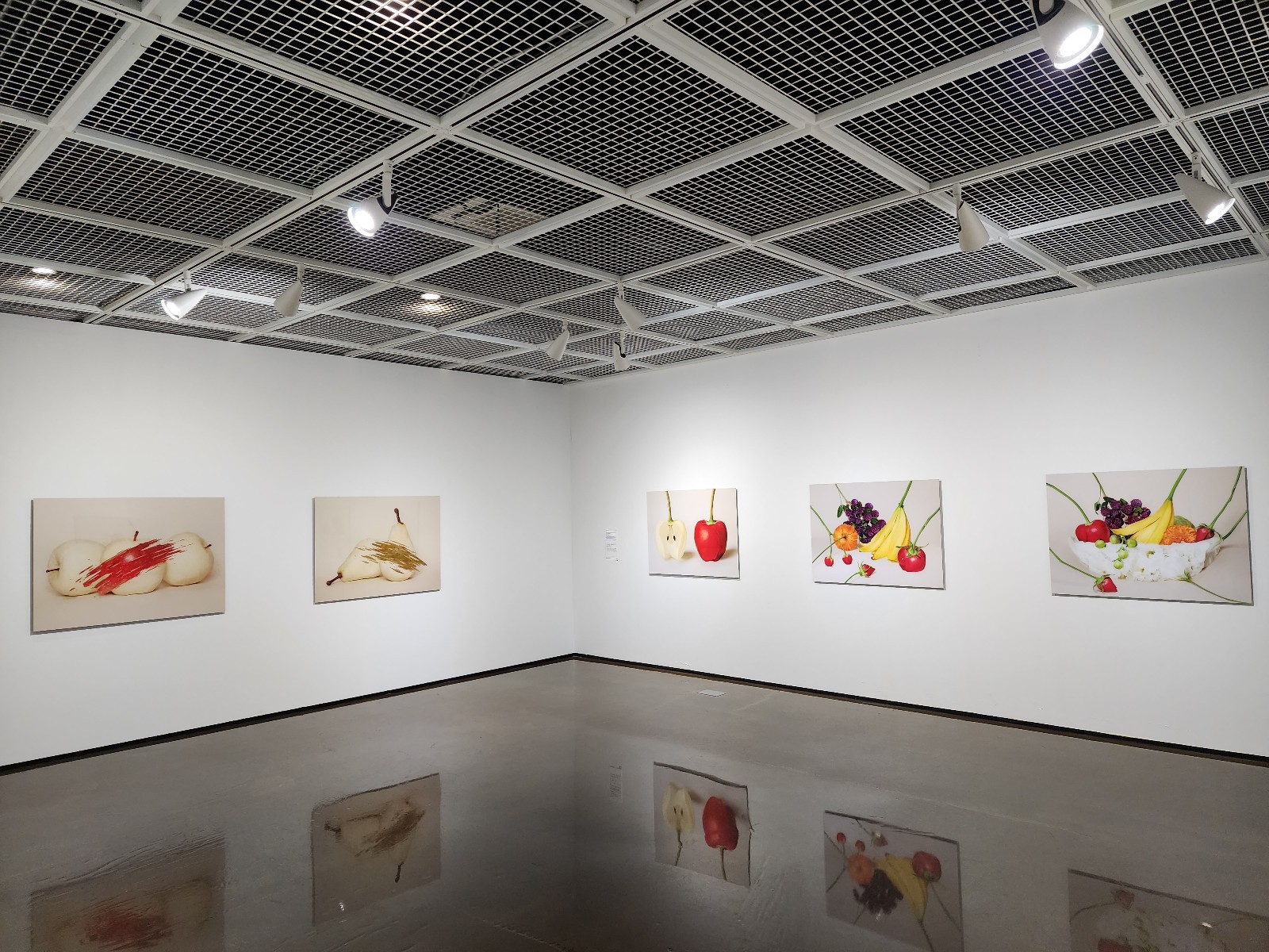 요시다 유니 작품