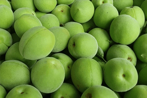 이석증에 좋은 음식10