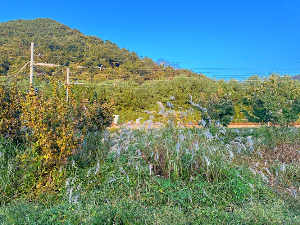 전주 레일바이크