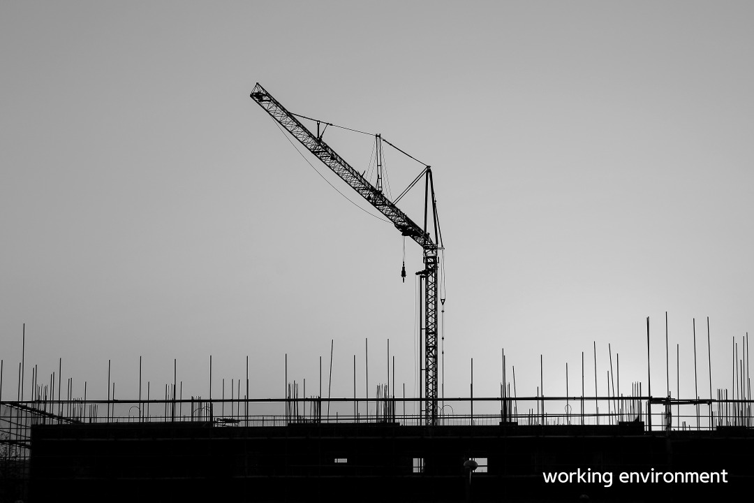 머니트리, 돈되는이야기, 주4일근무, 주4일제