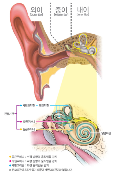 이석증 원인