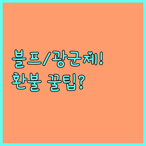 블랙프라이데이 싱글즈데이 구매 후 반..