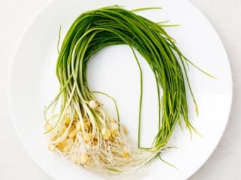 3월 제철 나물 & 채소 추천 BEST 8!!🌱