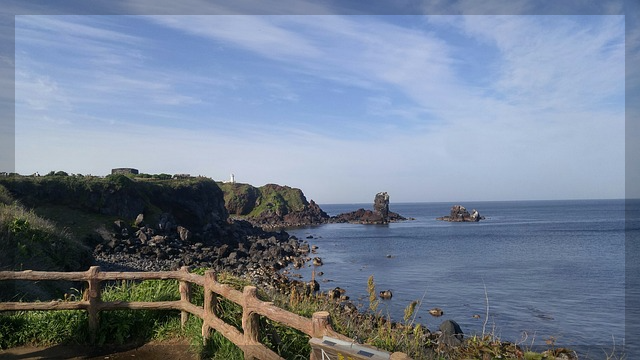 제주 올레길 7코스 미리보기: 제주 자연의 진수를 느끼는 해안 트레킹
