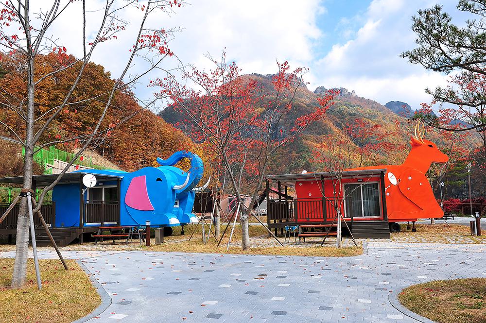 경북 봉화청량산캠핑장