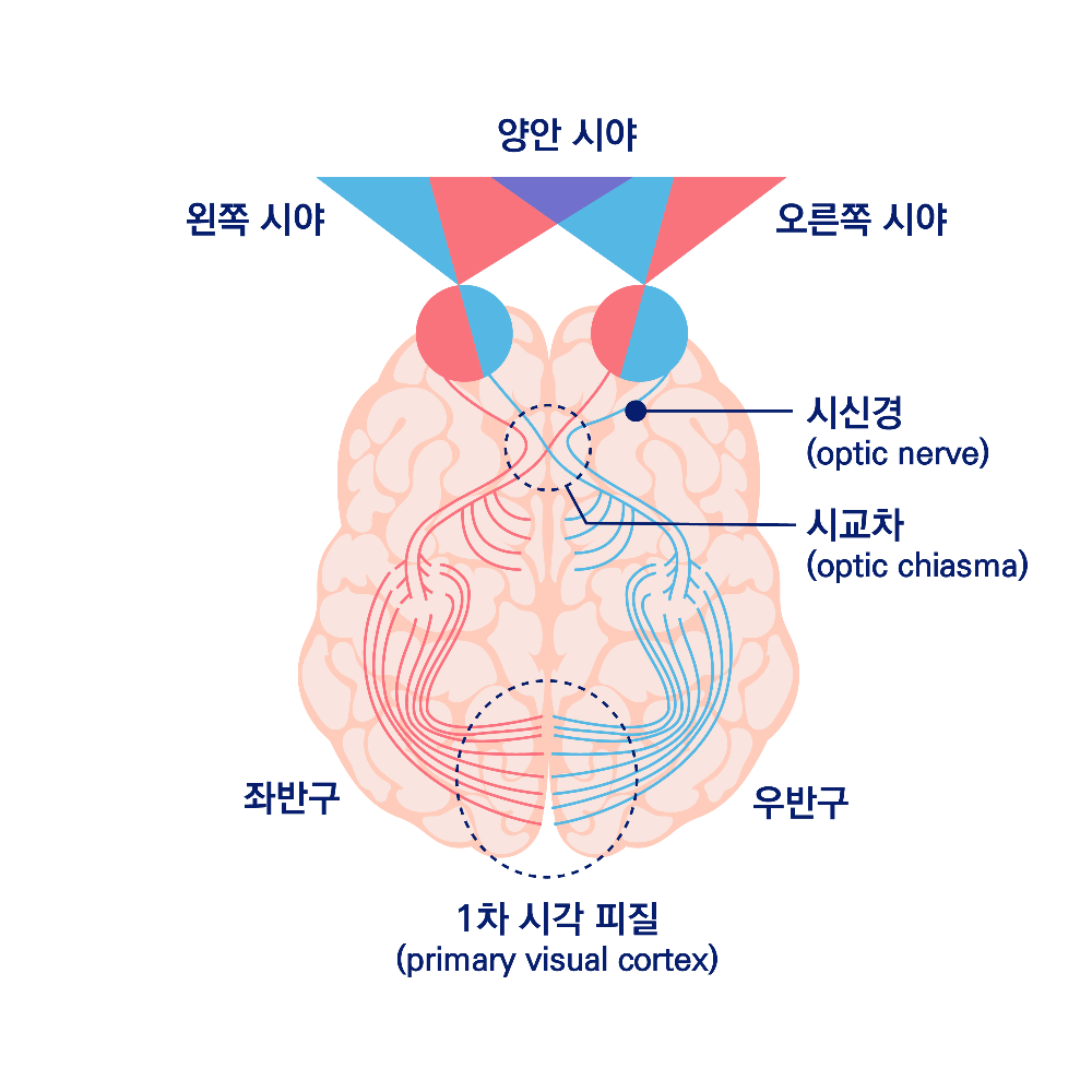 시각통로