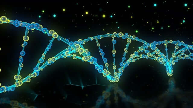 셀비온-공모주-청약-일정-22