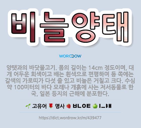 비늘양태