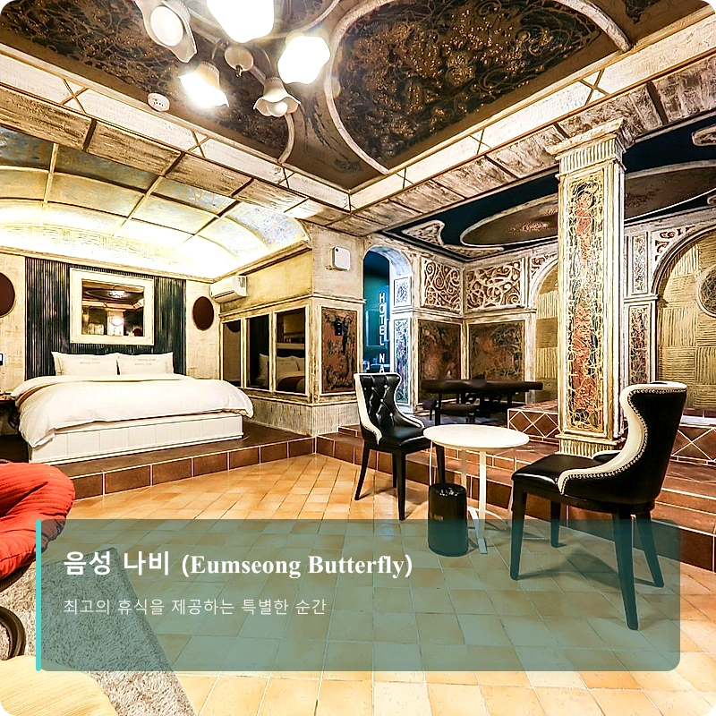 음성 나비 (Eumseong Butterfly)_1