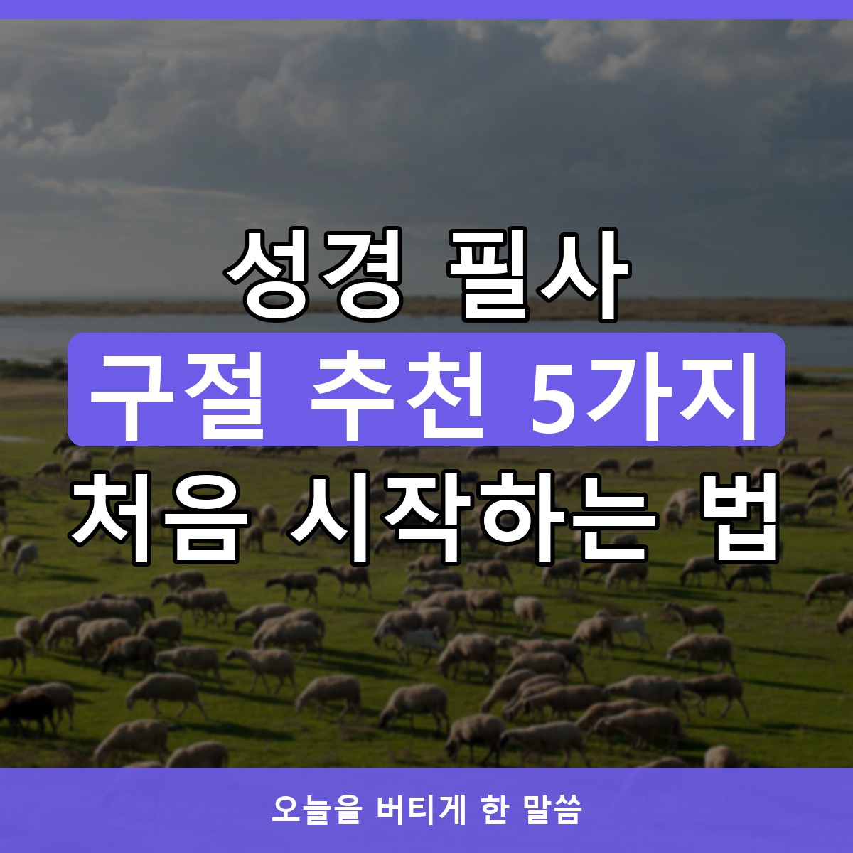 성경 필사 구절 추천 5가지, 처음 시작하는 말씀 필사 방법과 묵상