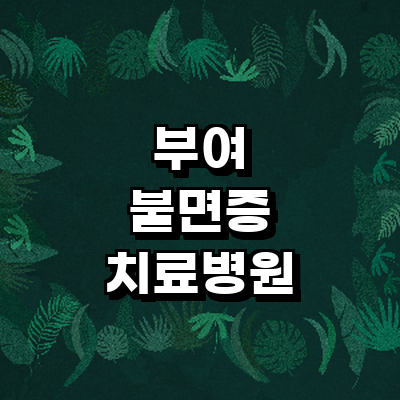 부여군 불면증