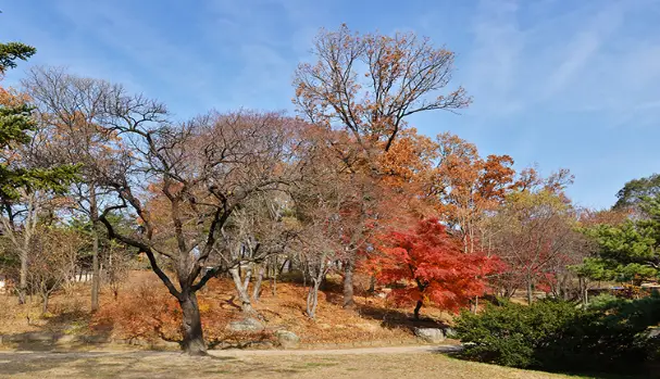 녹산