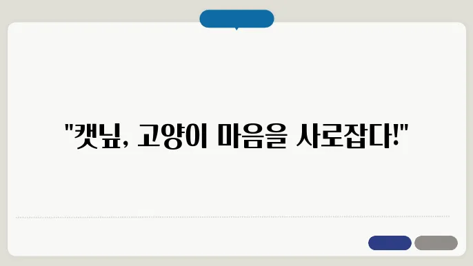 캢스룡 하다 고양이 반응 & 추천 제품 리뷰 2025
