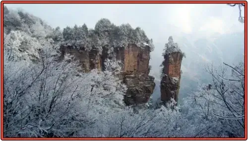 장가계-국가삼림공원-설경으로-뒤덮인-봉우리와-삼림