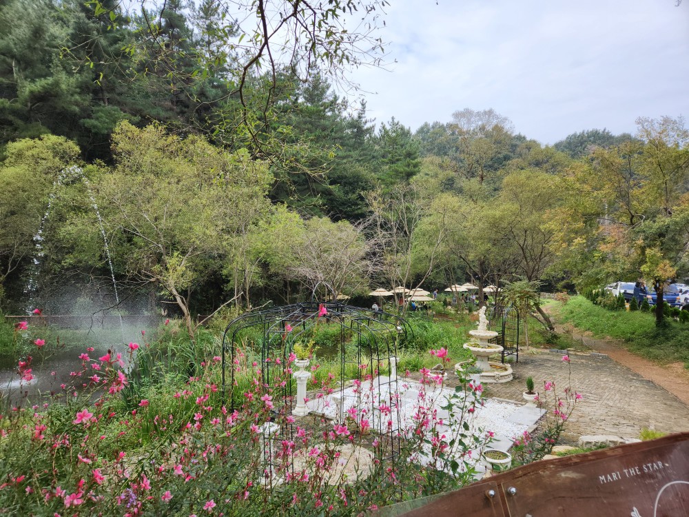 마리더스타미니결혼식