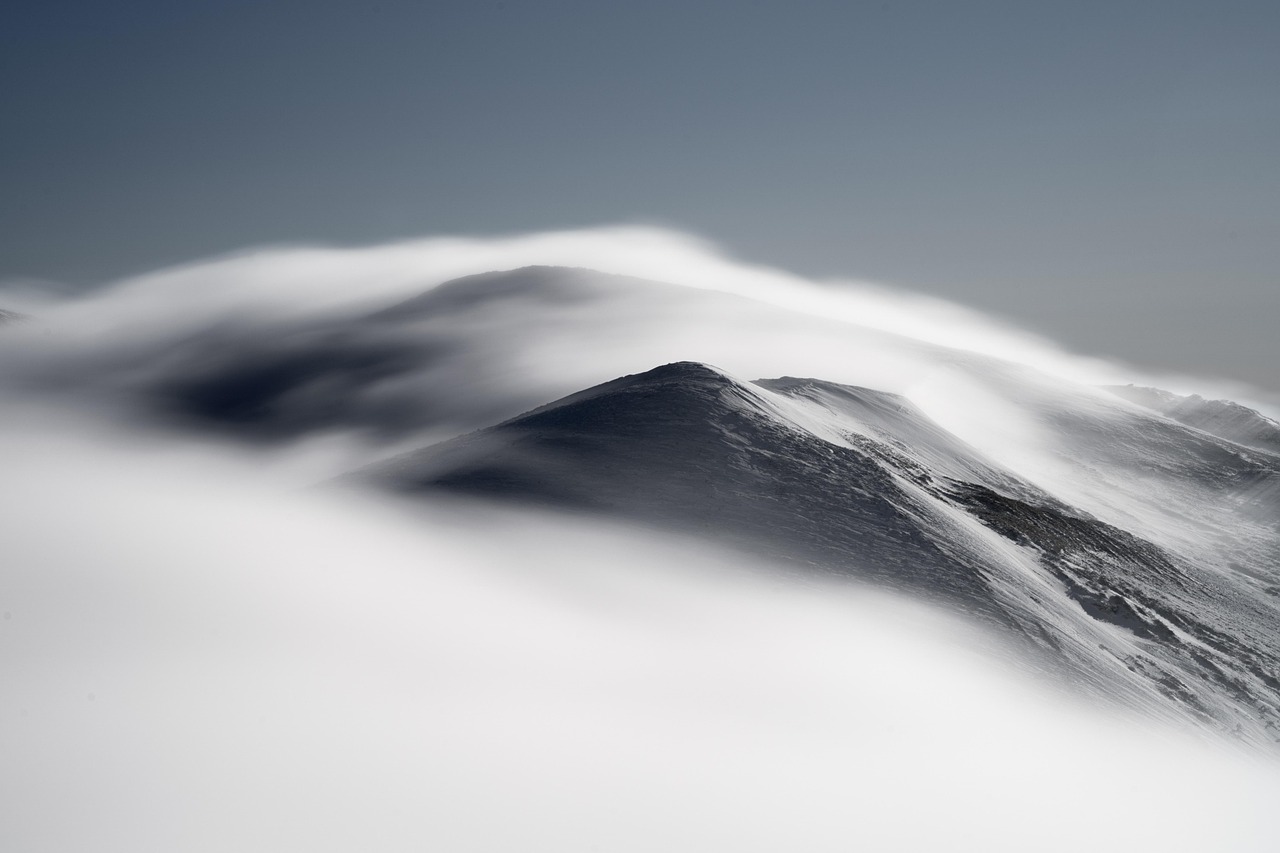 넥스가드·하트가드·프론트라인 비교