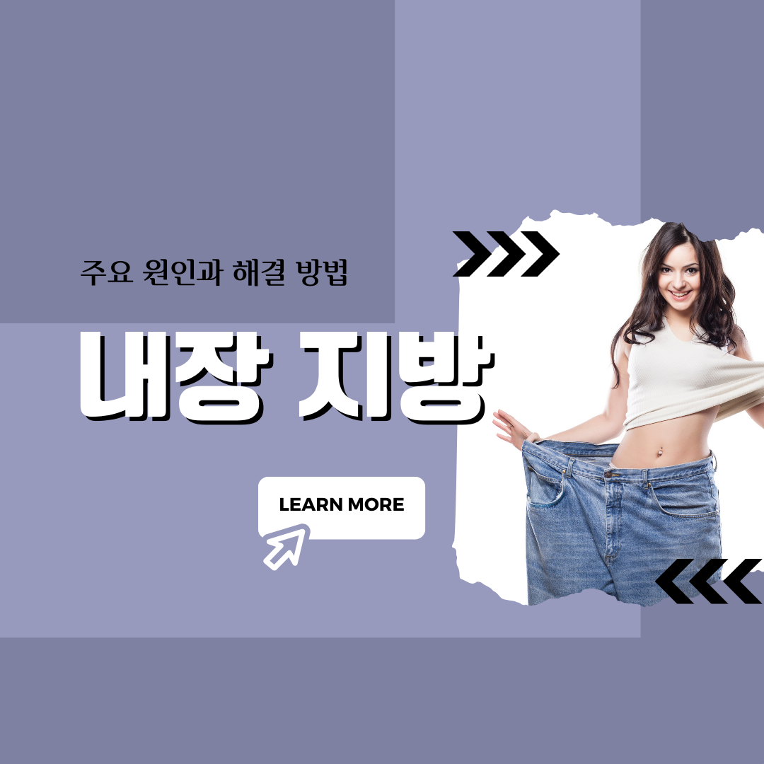 내장 지방의 원인과 해결 방법