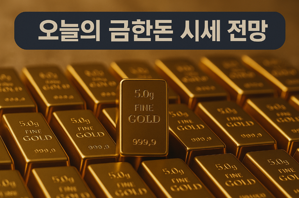 오늘 금한돈 시세 급등? 투자 타이밍 완벽 분석