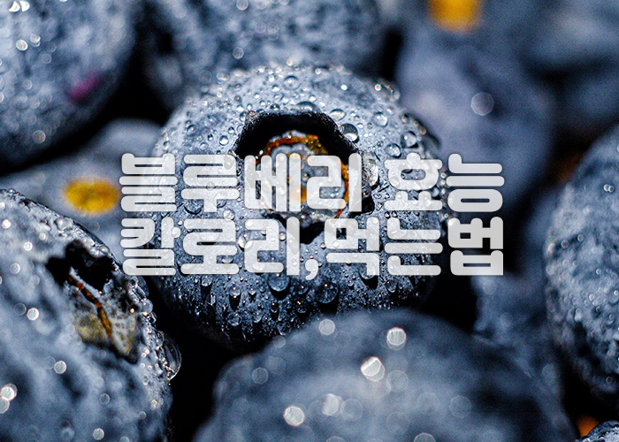 블루베리가 물기를 머금은 모습의 이미지