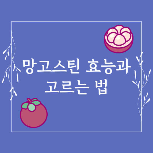 망고스틴
