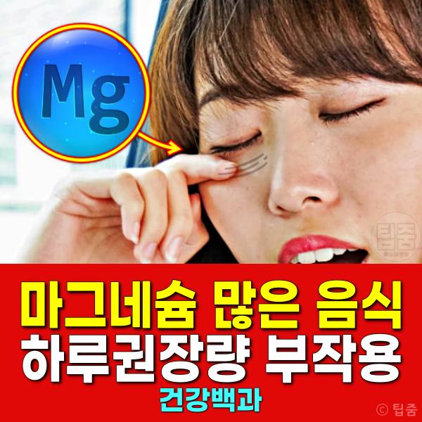 마그네슘 많은 음식 마그네슘 하루 권장량 부작용