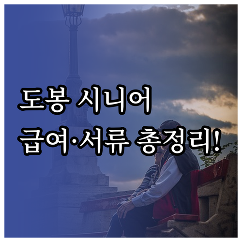 도봉구 시니어클럽 일자리 유형별 급여..