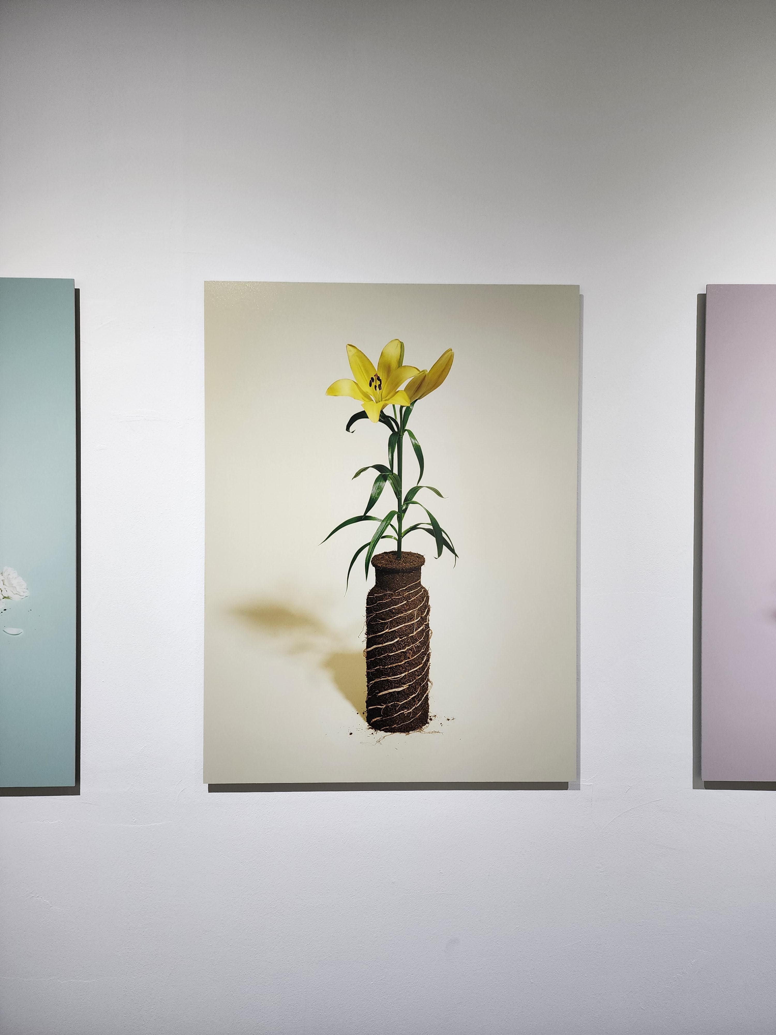 요시다유니 작품 일부