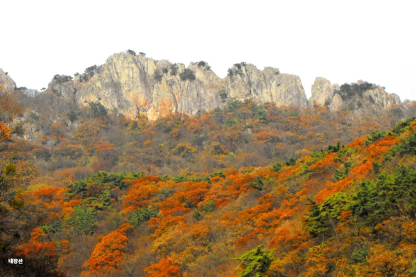 2024년 가을 단풍 시기 (단풍 절정기) 추천 여행지 🍁