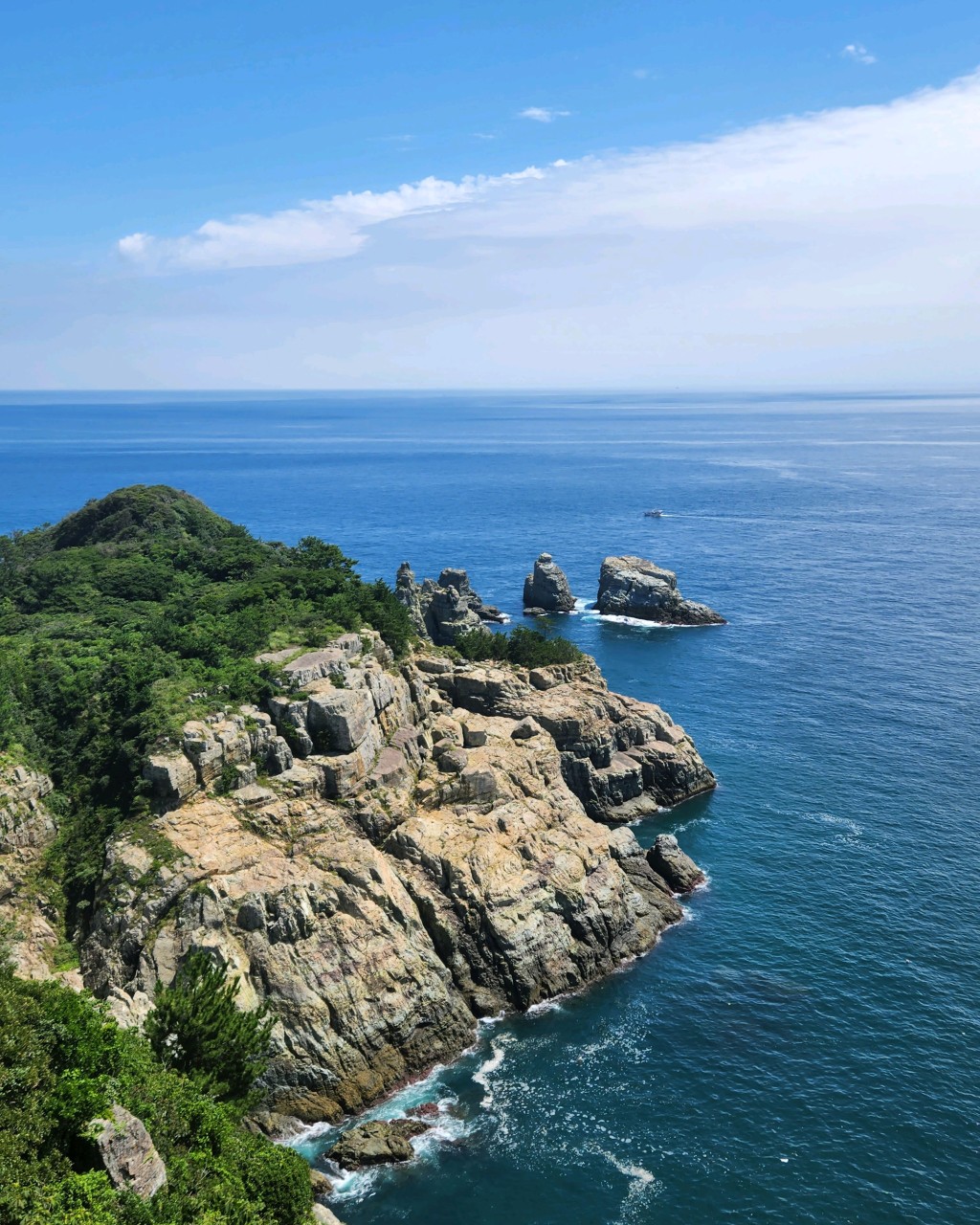 울릉도 여행가이드 코스 맛집 숙소 교통 꿀팁 주의사항