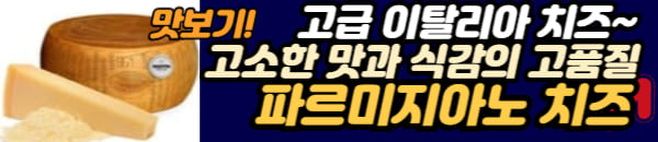 파르미지아노 치즈