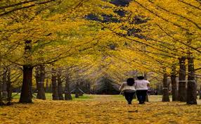 10월 가볼만한곳 베스트