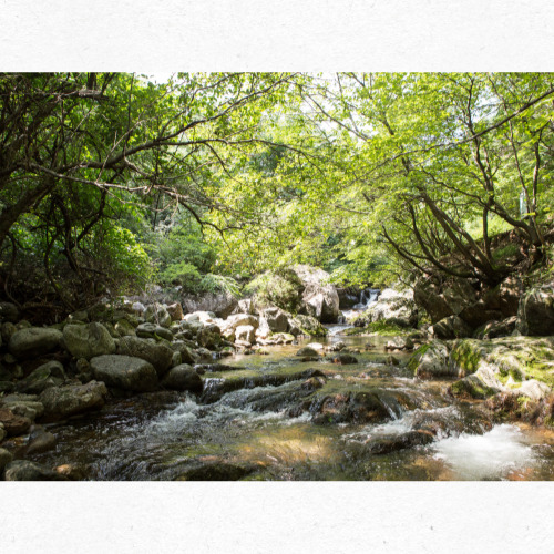 전북 무주 구천동계곡 여름 피서