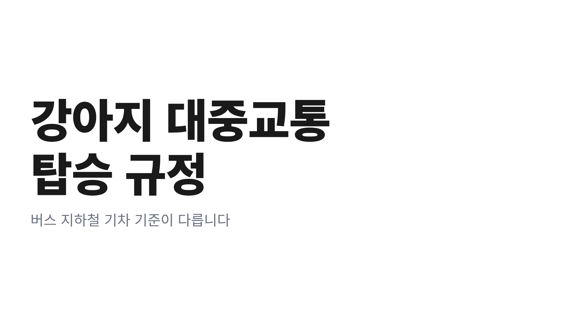 이동장 안에 편안하게 들어가 있는 강아지와 지하철 승강장 배경을 함께 담은 대표 이미지