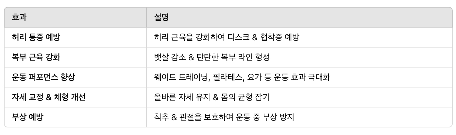 코어 운동의 효과 & 추천 대상